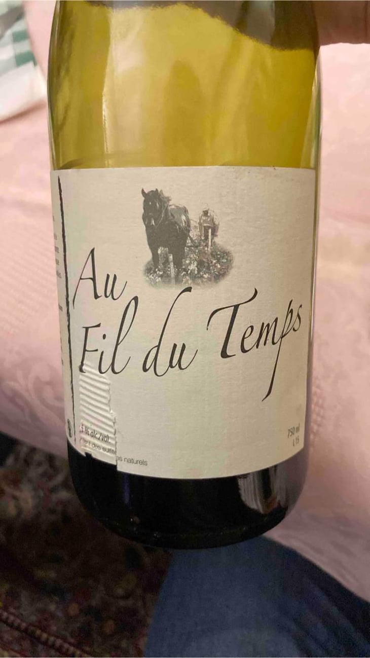 Au Fil Du Temps - Michel Guignier - Michel Guignier -2015