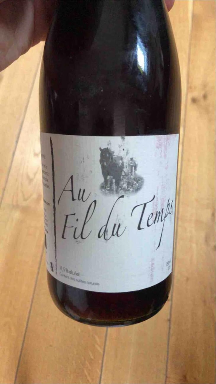Au Fil Du Temps - Michel Guignier - Michel Guignier -2015
