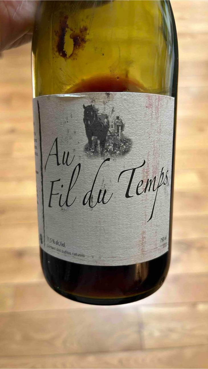 Au Fil Du Temps - Michel Guignier - Michel Guignier -2015