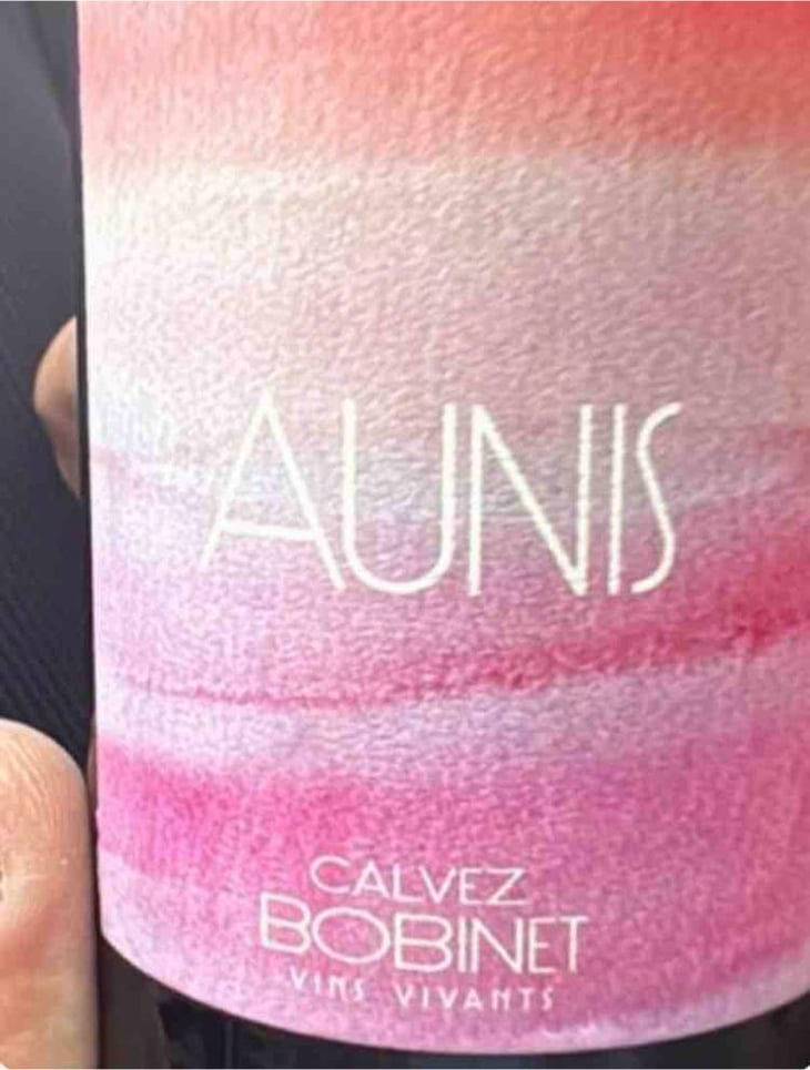 Aunis - Domaine Calvez-Bobinet - Sébastien Bobinet & Emeline Calvez 