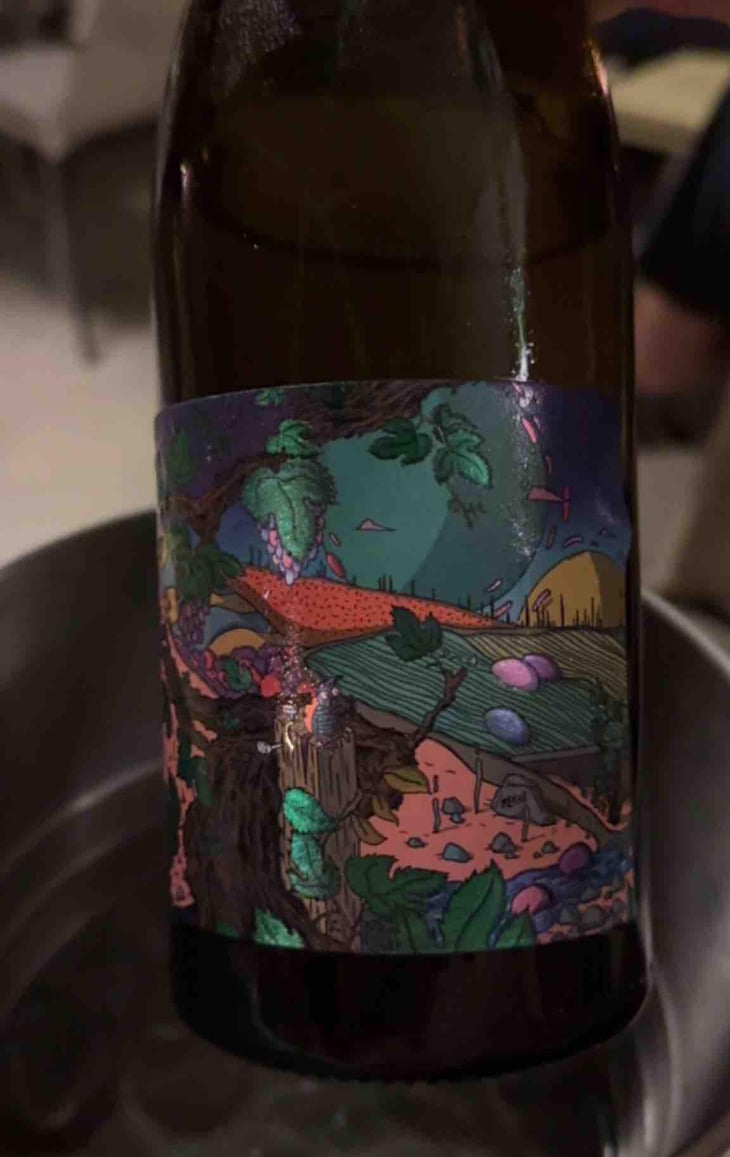 Aurore - Domaine De L’Enviegne - Alexis Tondeur -2021