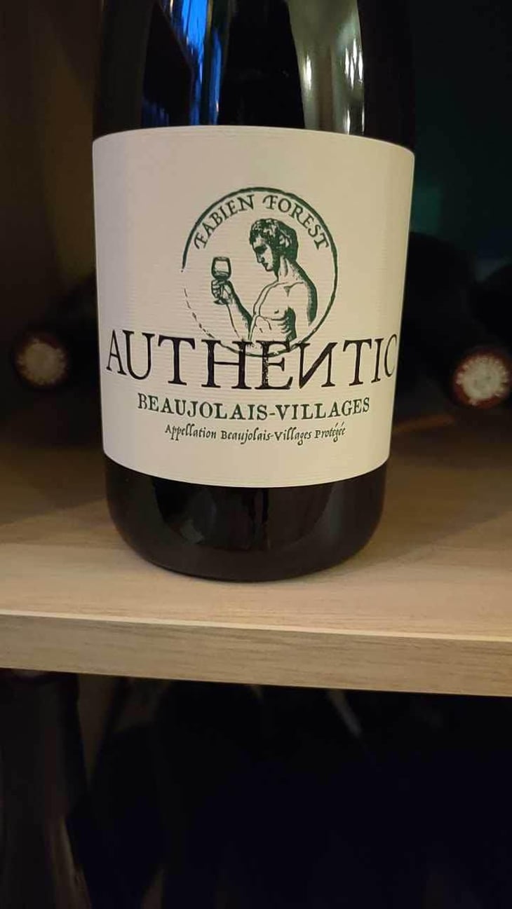 Authentic - Fabien Forest - Fabien Forest 