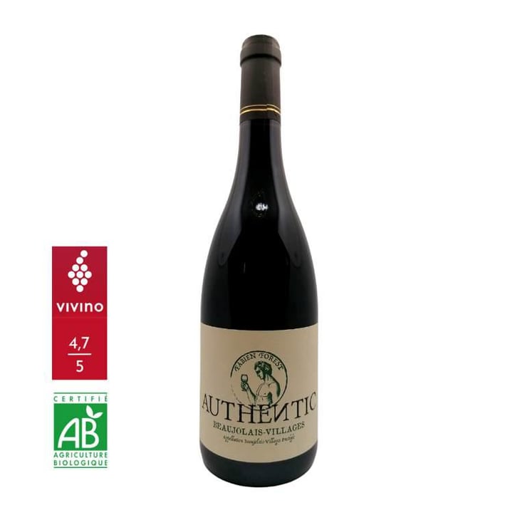 Authentic - Fabien Forest - Fabien Forest 
