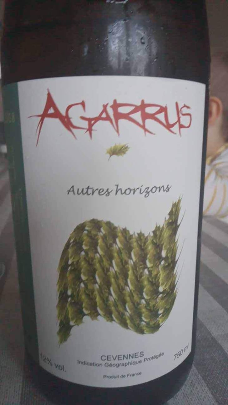 Autres Horizons - Agarrus - Serge Scherrer 