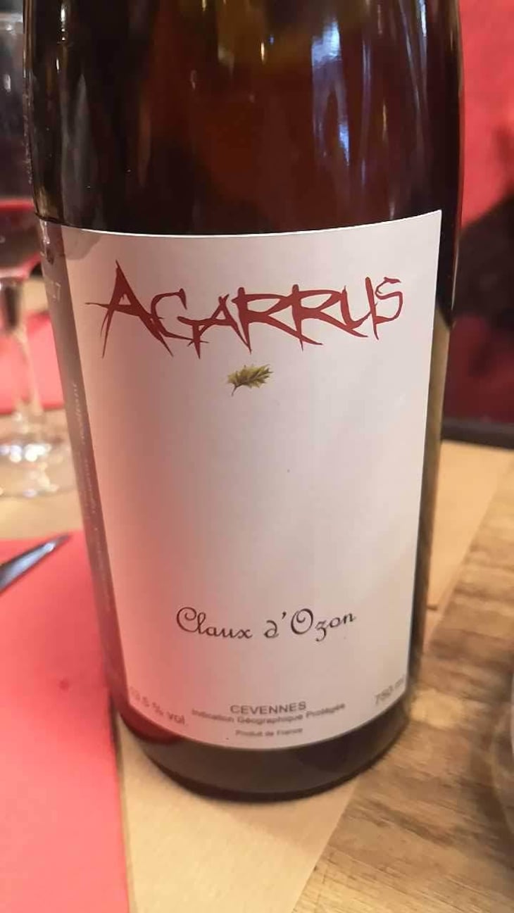 Autres Horizons - Agarrus - Serge Scherrer 