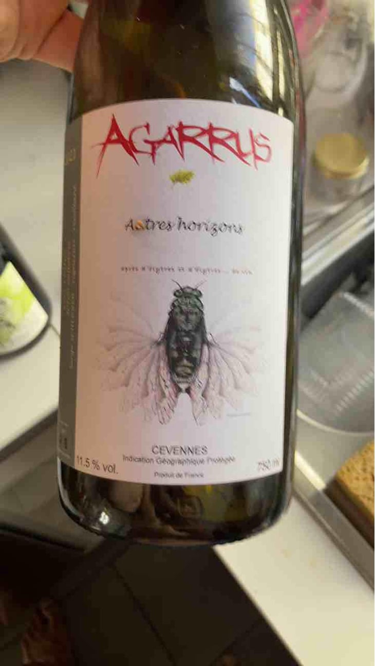 Autres Horizons - Agarrus - Serge Scherrer 