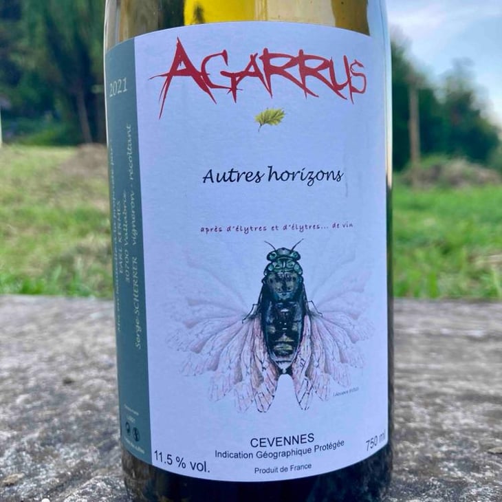 Autres Horizons - Agarrus - Serge Scherrer 