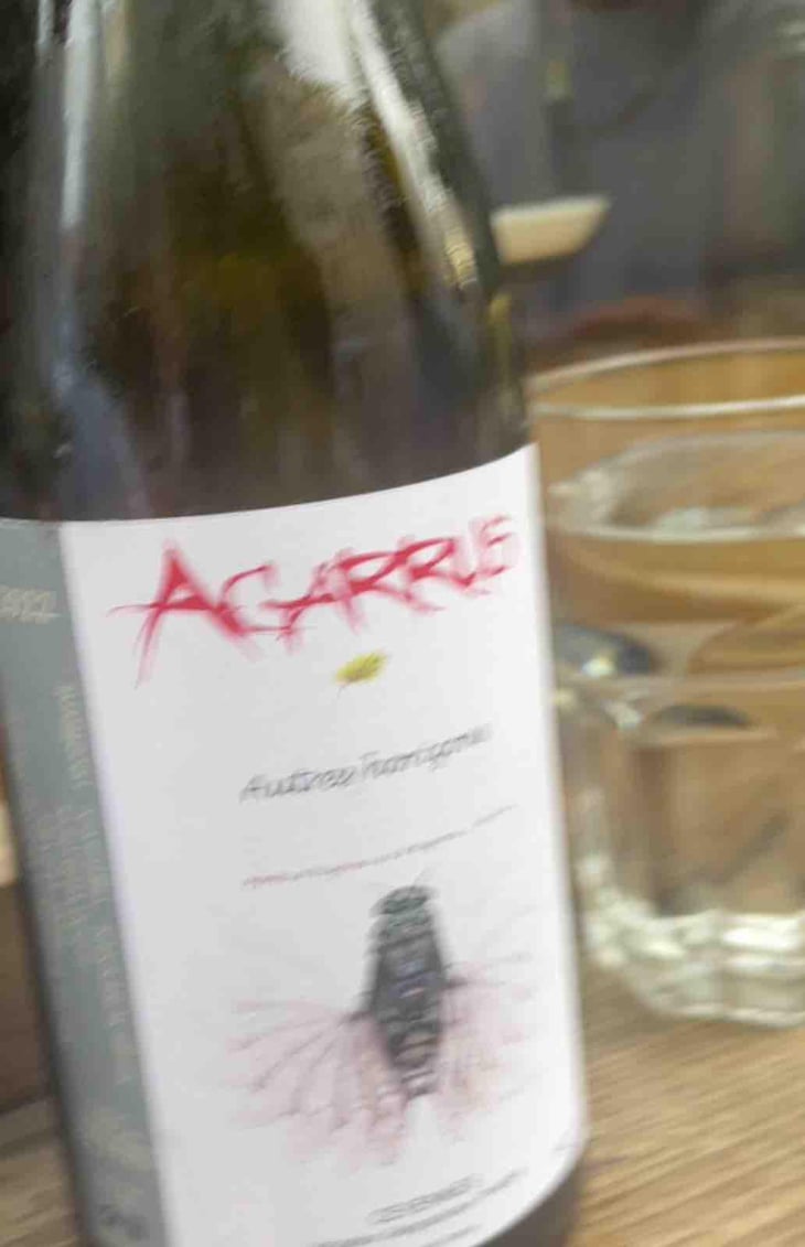 Autres Horizons - Agarrus - Serge Scherrer 