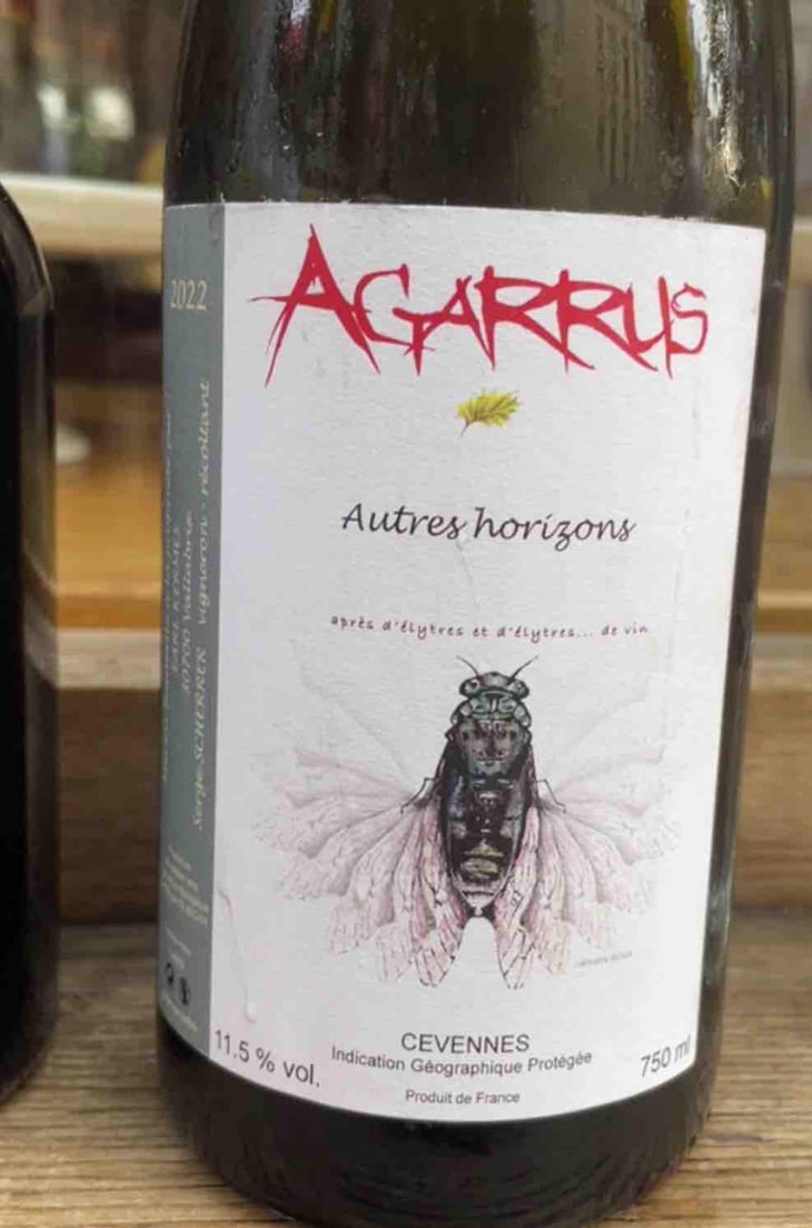 Autres Horizons - Agarrus - Serge Scherrer 