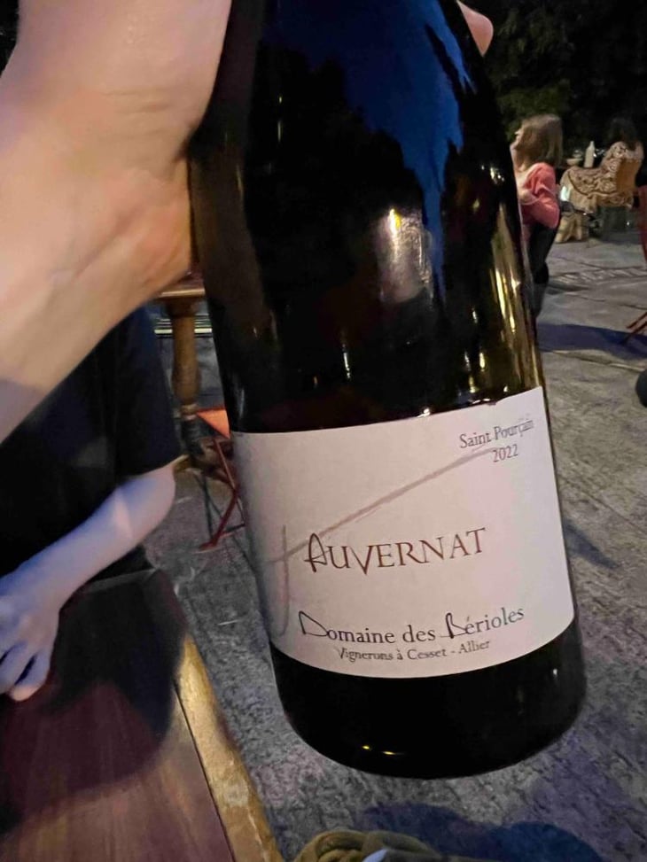 Auvernat - Domaine Des Bérioles - Jean Teissedre, Sophie et Jérôme Roux -2021