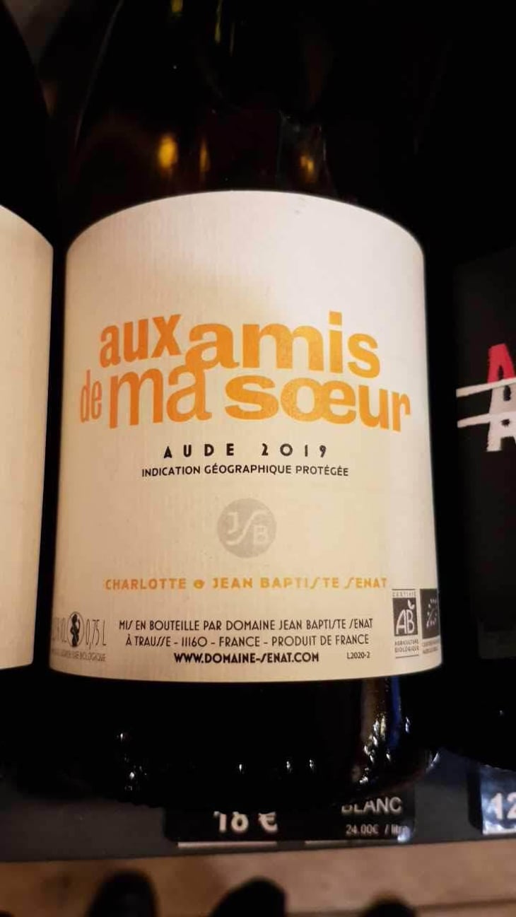 Aux Amis De Ma Sœur - Jean-Baptiste Senat - Charlotte & Jean-Baptiste Senat 