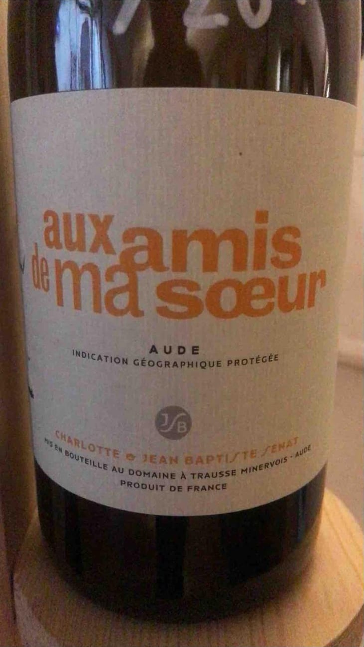 Aux Amis De Ma Sœur - Jean-Baptiste Senat - Charlotte & Jean-Baptiste Senat 