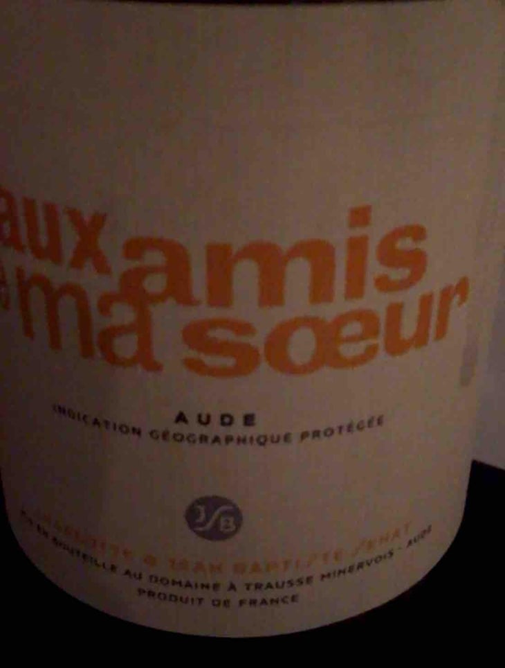 Aux Amis De Ma Sœur - Jean-Baptiste Senat - Charlotte & Jean-Baptiste Senat 