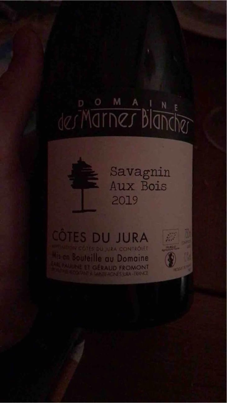 Aux Bois Savagnin - Domaine Des Marnes Blanches - Pauline & Géraud Fromont 