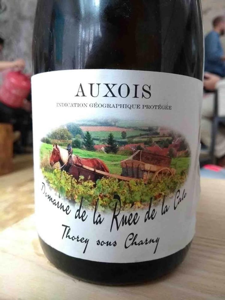 Auxois - Domaine De la Ruée De la Cale - Thorey-sous-Charny 