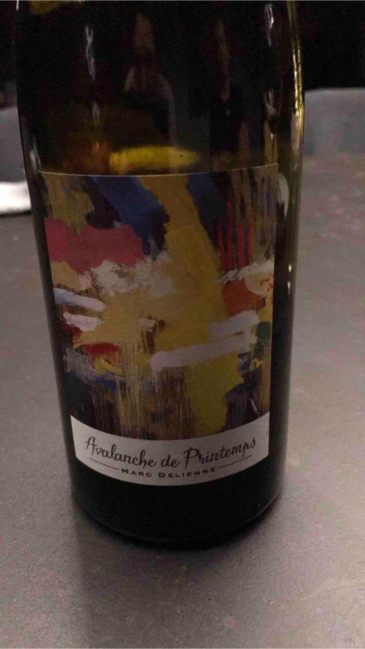 Avalanche de Printemps - Marc Delienne - Marc Delienne 