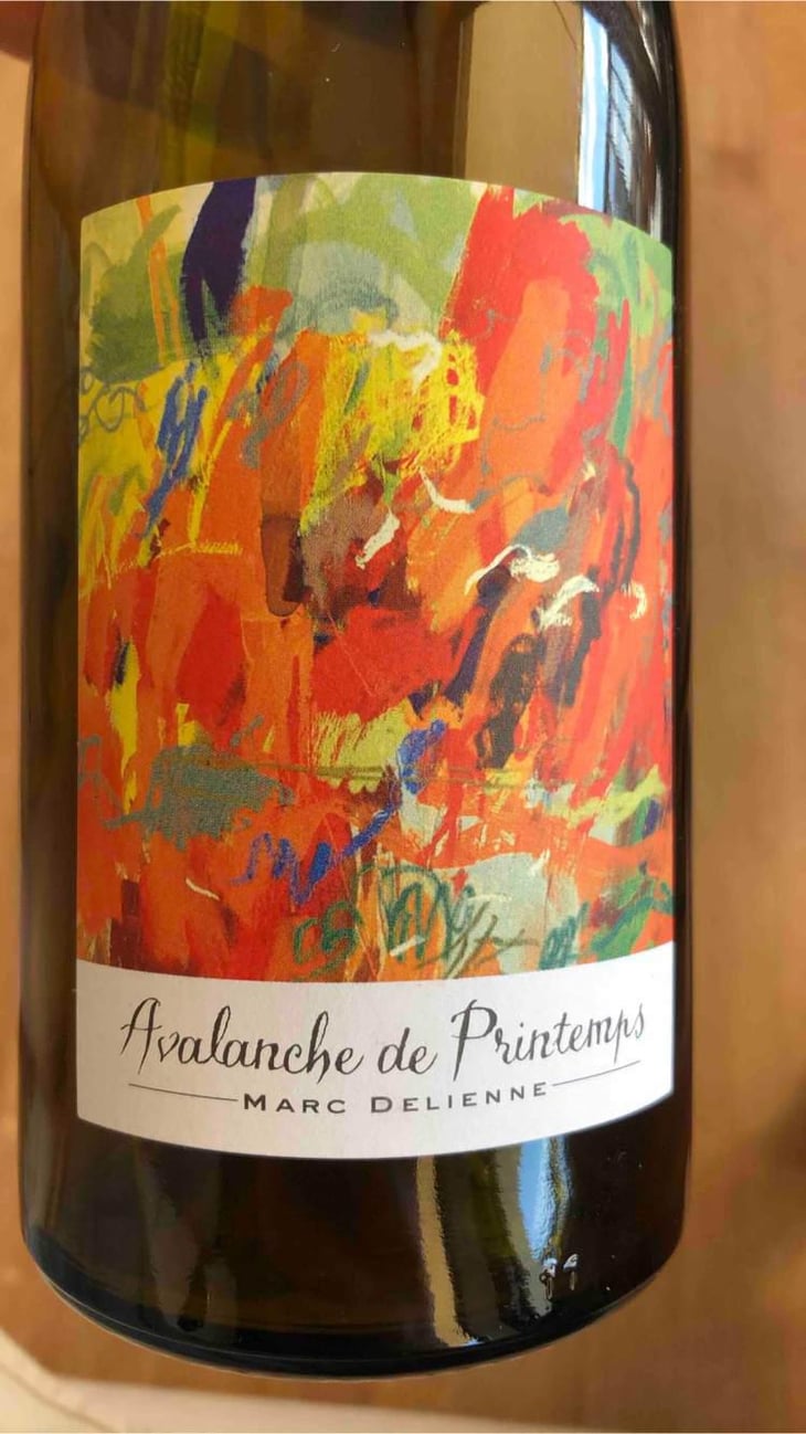 Avalanche de Printemps - Marc Delienne - Marc Delienne 