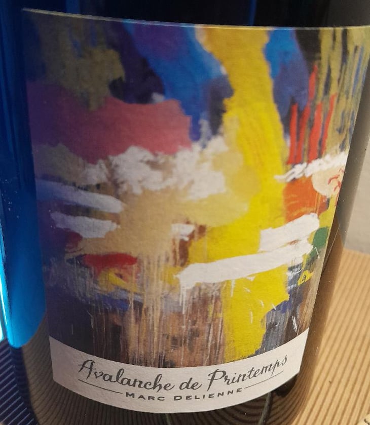 Avalanche de Printemps - Marc Delienne - Marc Delienne 