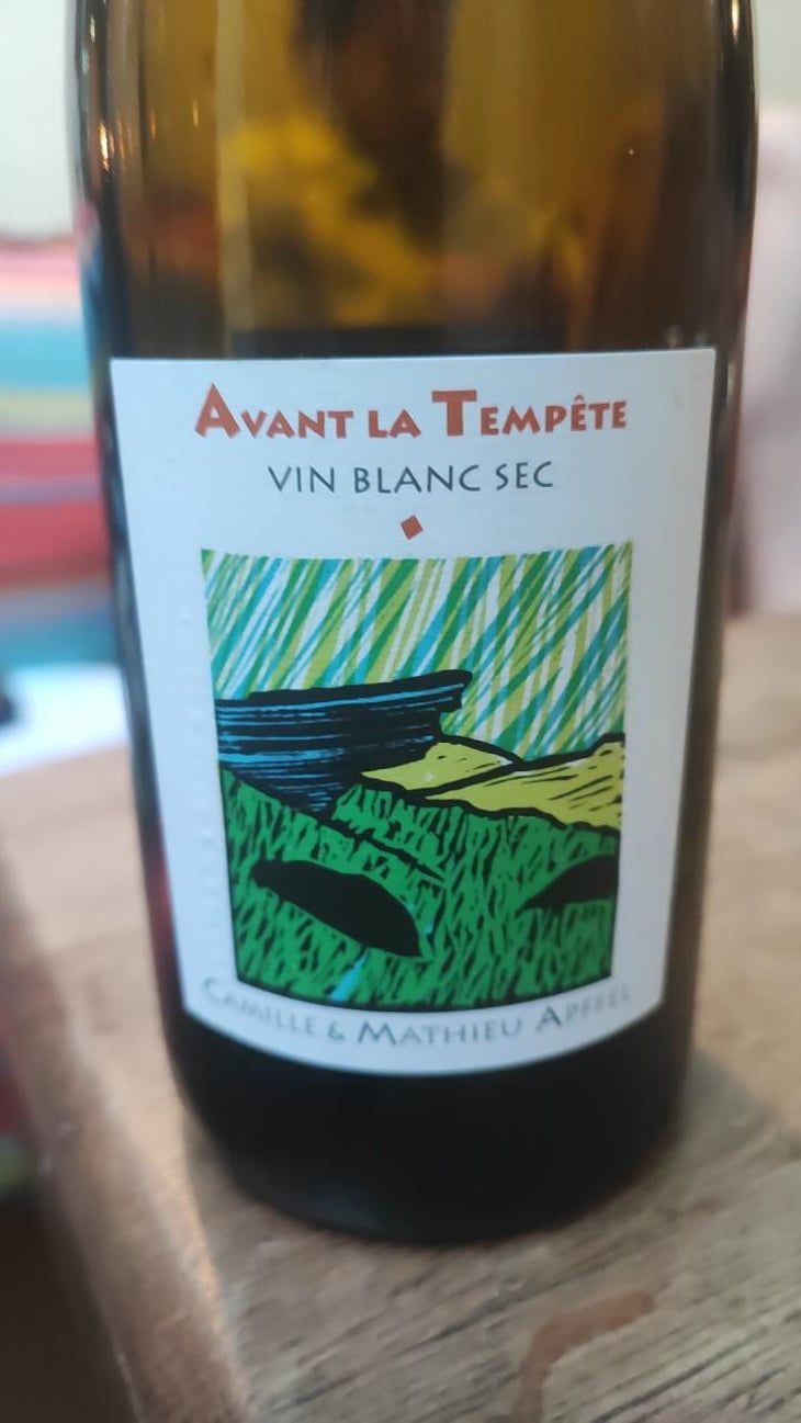 Avant La Tempête - Mathieu Apffel - Camille & Mathieu Apffel 