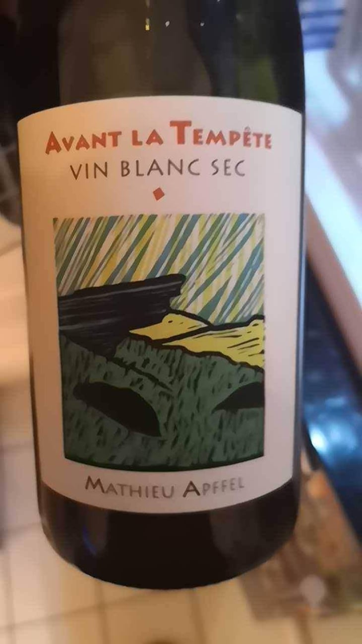 Avant La Tempête - Mathieu Apffel - Camille & Mathieu Apffel 