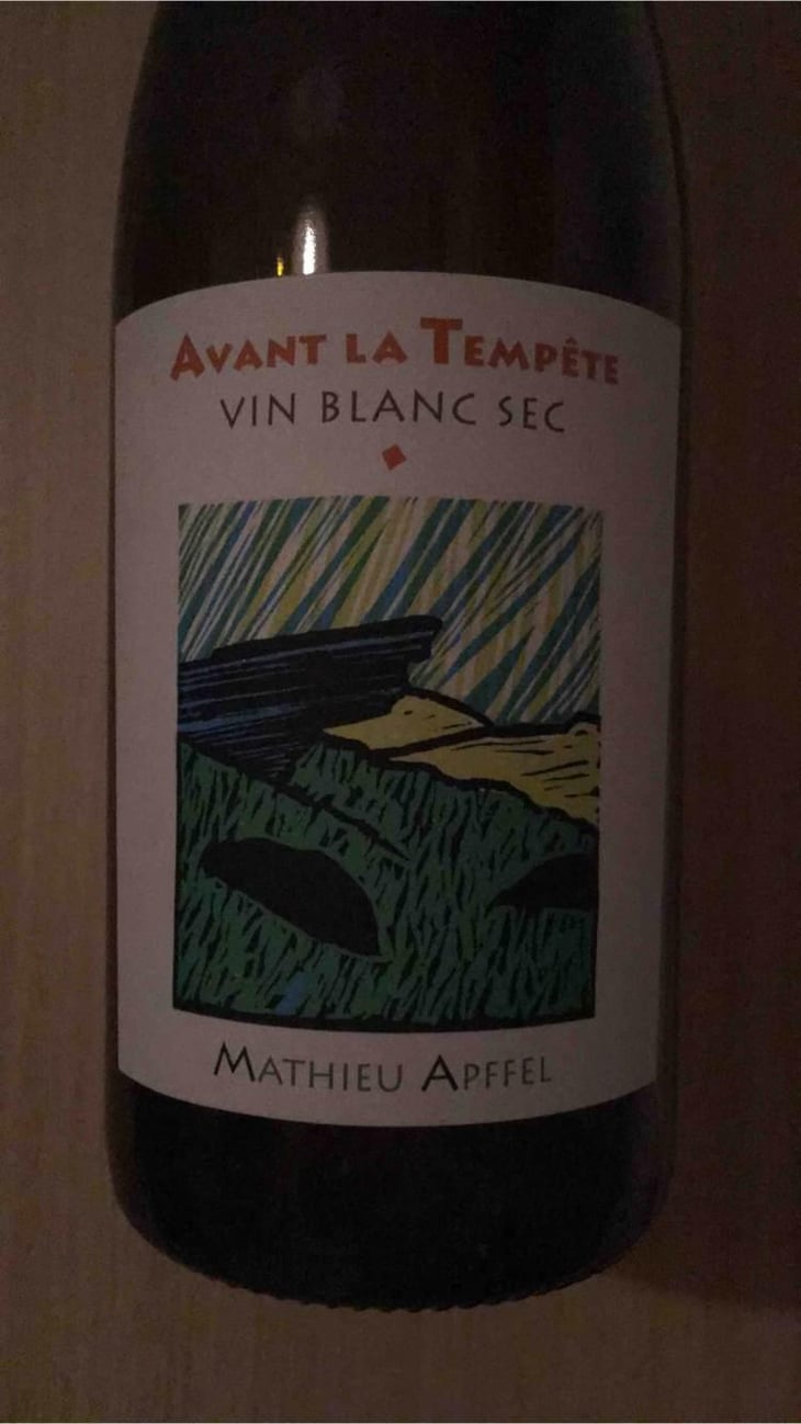 Avant La Tempête - Mathieu Apffel - Camille & Mathieu Apffel 