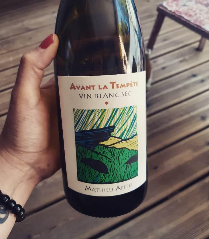 Avant La Tempête - Mathieu Apffel - Camille & Mathieu Apffel 