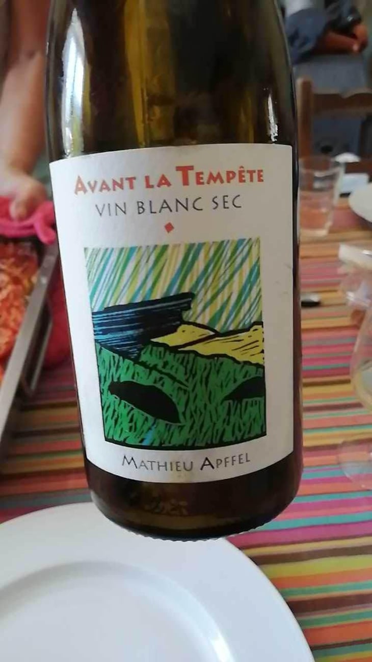 Avant La Tempête - Mathieu Apffel - Camille & Mathieu Apffel 