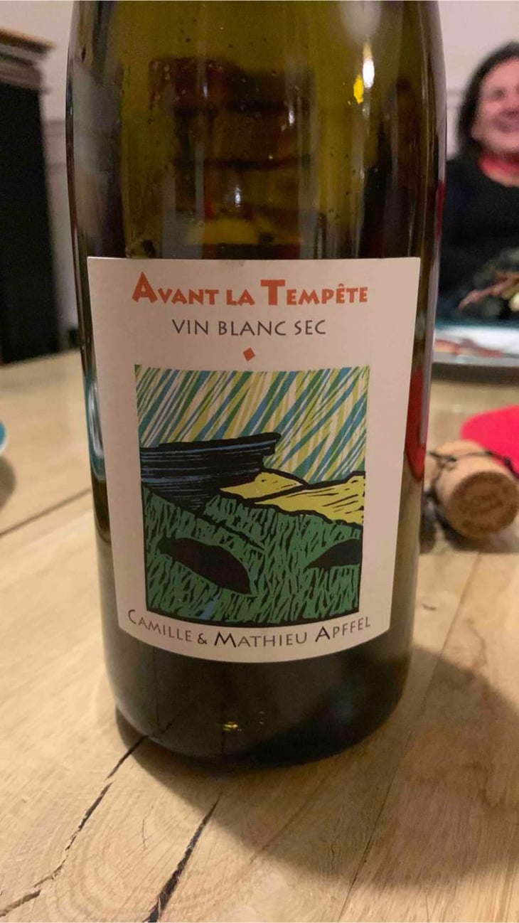 Avant La Tempête - Mathieu Apffel - Camille & Mathieu Apffel 