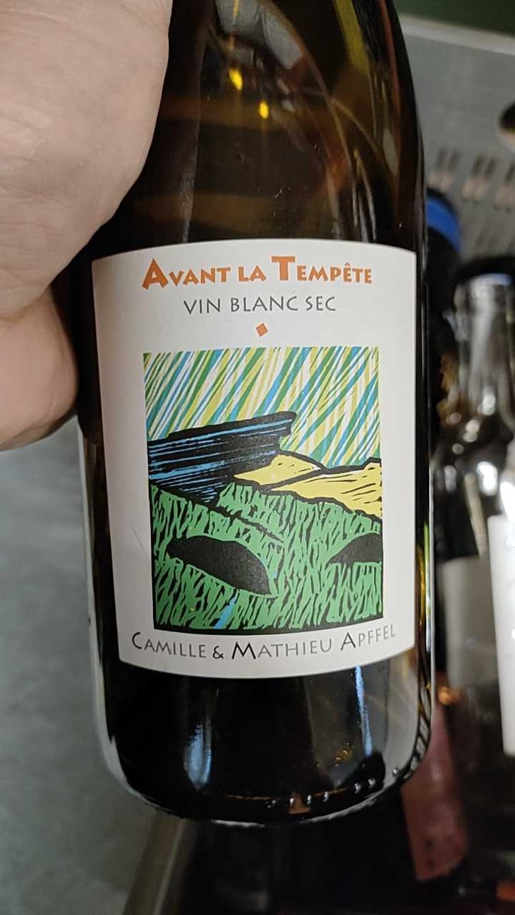 Avant La Tempête - Mathieu Apffel - Camille & Mathieu Apffel 