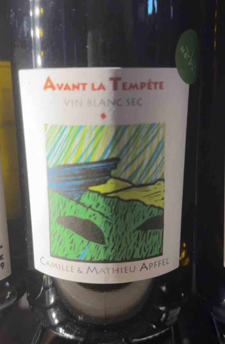 Avant La Tempête - Mathieu Apffel - Camille & Mathieu Apffel 
