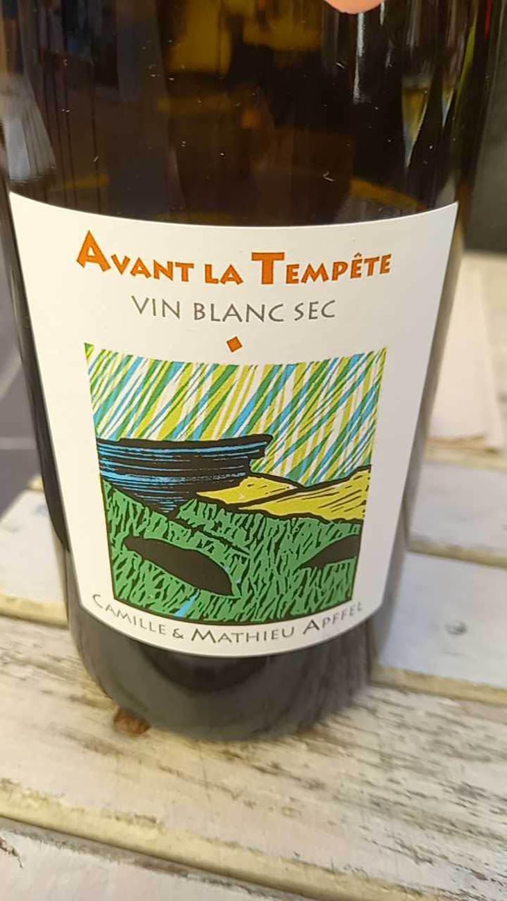 Avant La Tempête - Mathieu Apffel - Camille & Mathieu Apffel 