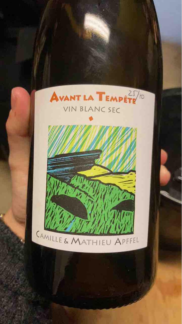 Avant La Tempête - Mathieu Apffel - Camille & Mathieu Apffel 