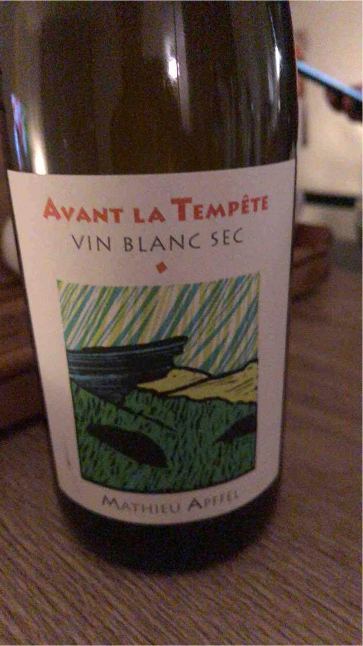 Avant La Tempête - Mathieu Apffel - Camille & Mathieu Apffel 