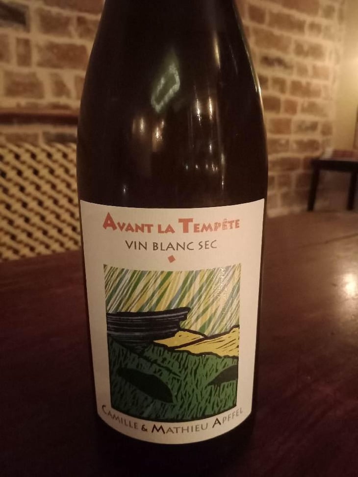 Avant La Tempête - Mathieu Apffel - Camille & Mathieu Apffel 