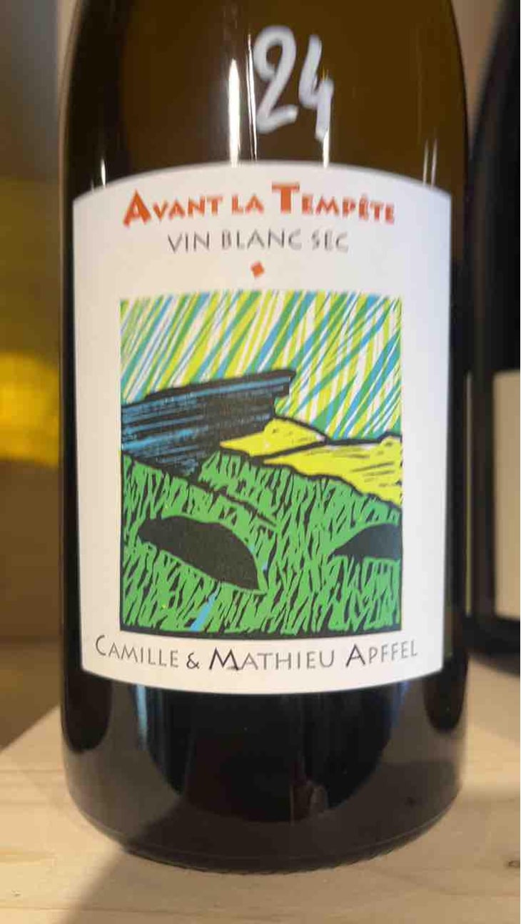 Avant La Tempête - Mathieu Apffel - Camille & Mathieu Apffel 
