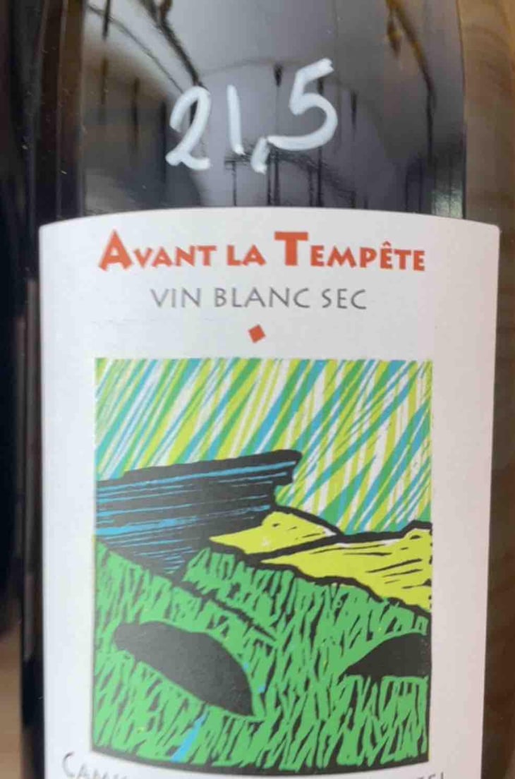 Avant La Tempête - Mathieu Apffel - Camille & Mathieu Apffel 