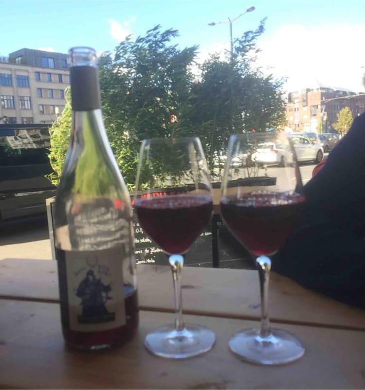 Avis de Vin Fort - Domaine Breton - Catherine & Pierre Breton 