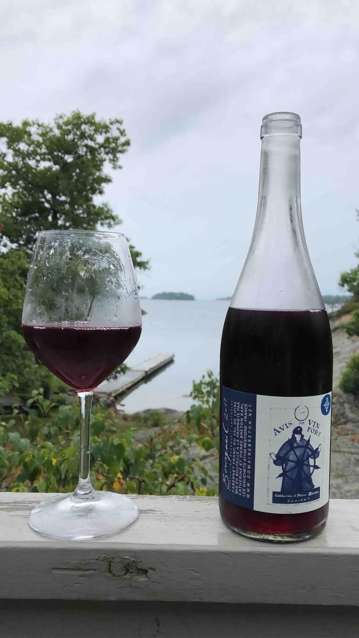 Avis de Vin Fort - Domaine Breton - Catherine & Pierre Breton 