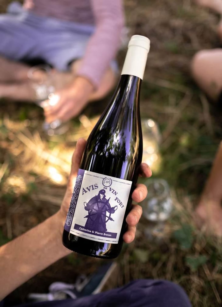 Avis de Vin Fort - Domaine Breton - Catherine & Pierre Breton 