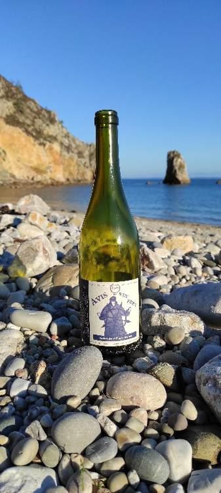 Avis de Vin Fort - Domaine Breton - Catherine & Pierre Breton 