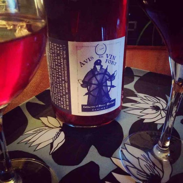 Avis de Vin Fort - Domaine Breton - Catherine & Pierre Breton 