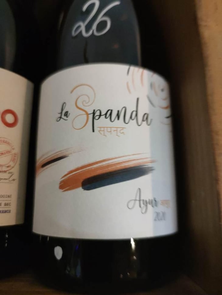 Ayur - La Spanda - Virginie Maignien 