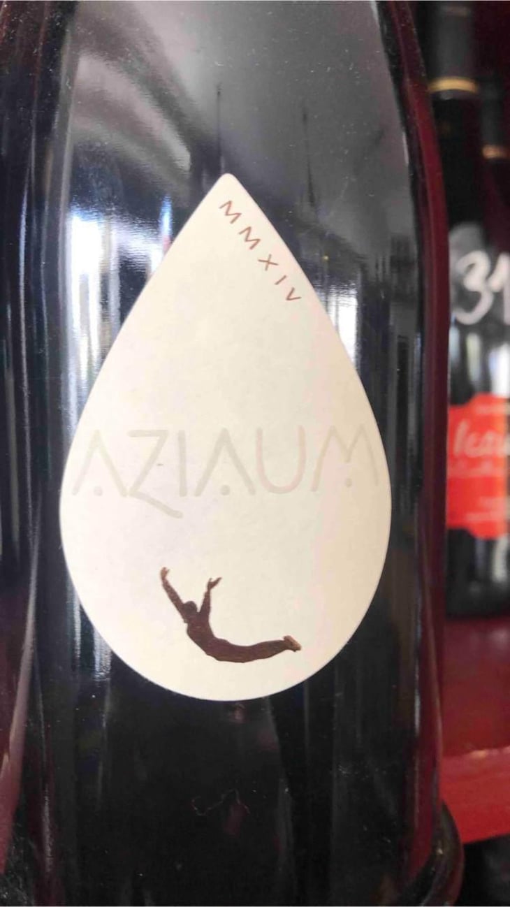 Aziaum, Jardin à la Boulaudière - Le Sot de l'Ange - Angélique & Quentin Bourse 