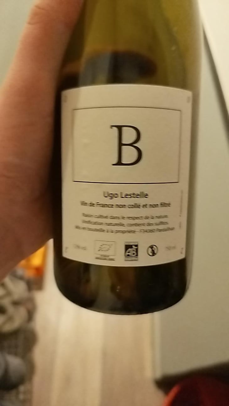 B - Ugo Lestelle - Ugo Lestelle 