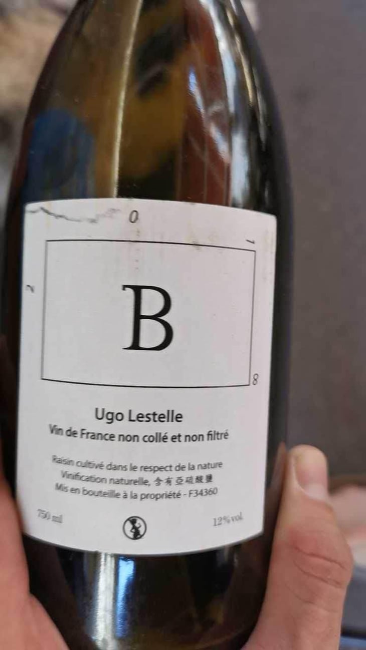 B - Ugo Lestelle - Ugo Lestelle 