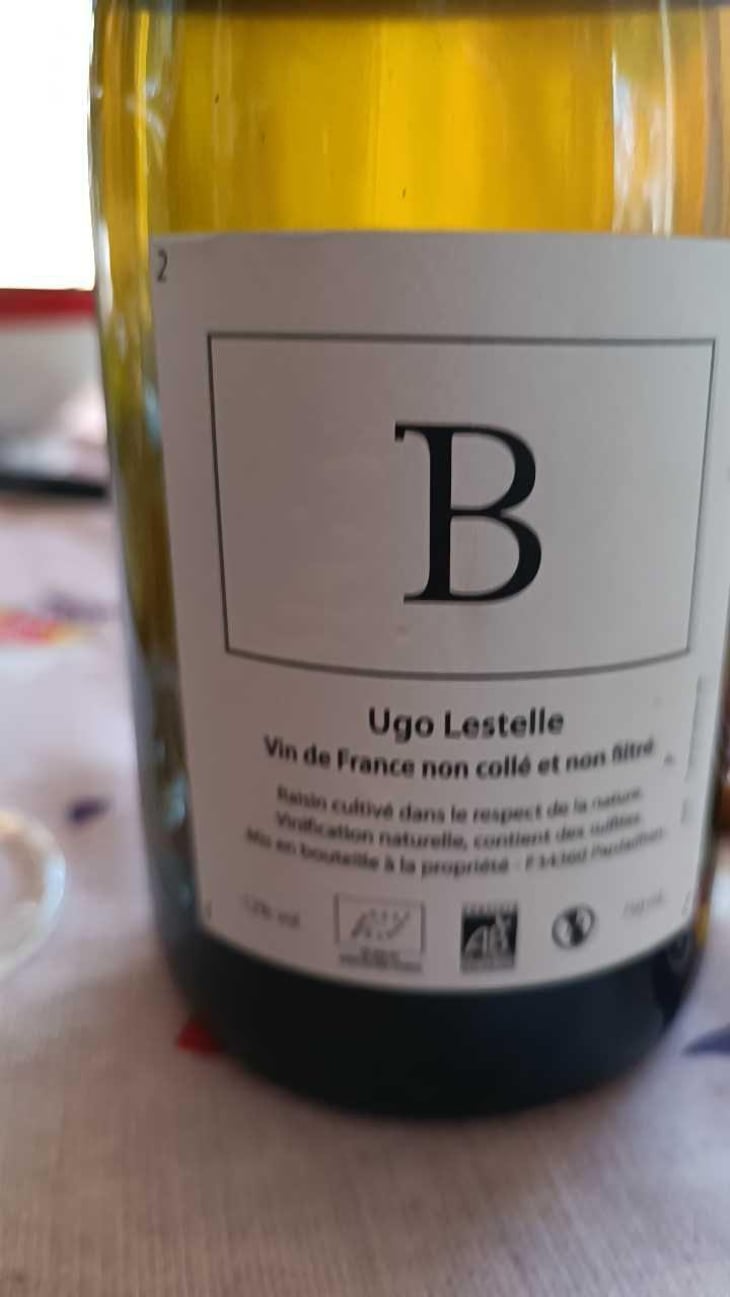 B - Ugo Lestelle - Ugo Lestelle 