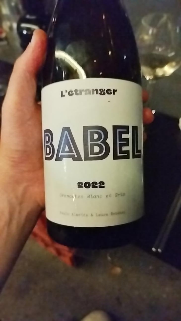 Babel - Domaine de L'Étranger - Paulo Almeida & Laura Rebeissi 