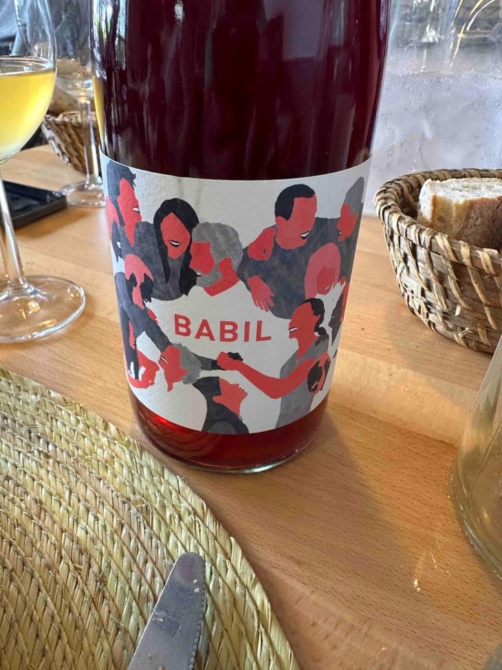 Babil - Domaine Brazilier - Benoît Brazilier -2021