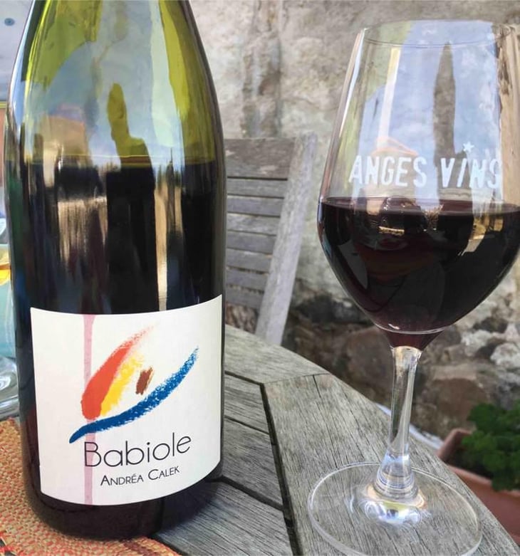 Babiole - Andrea Calek - Andrea Calek et Stephana Nicolescu 