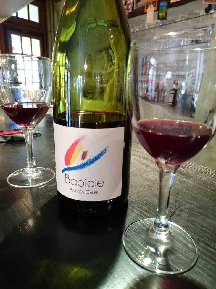 Babiole - Andrea Calek - Andrea Calek et Stephana Nicolescu 